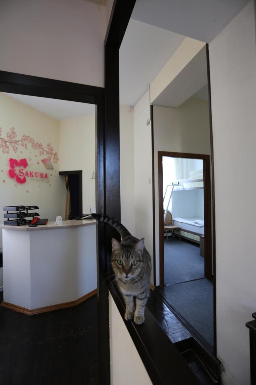 Sakura Inn Fargʻona Buitenkant foto